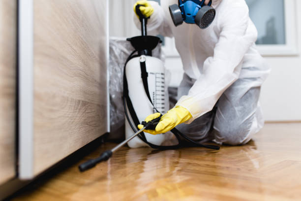 Best Residential Pest Control  in Rutherford, TN