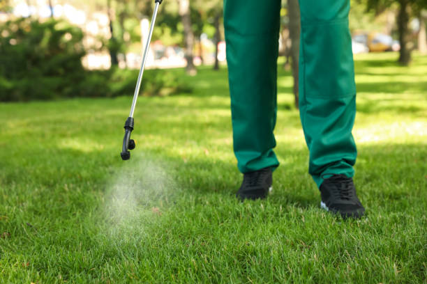 Best Affordable Pest Control Services  in Rutherford, TN