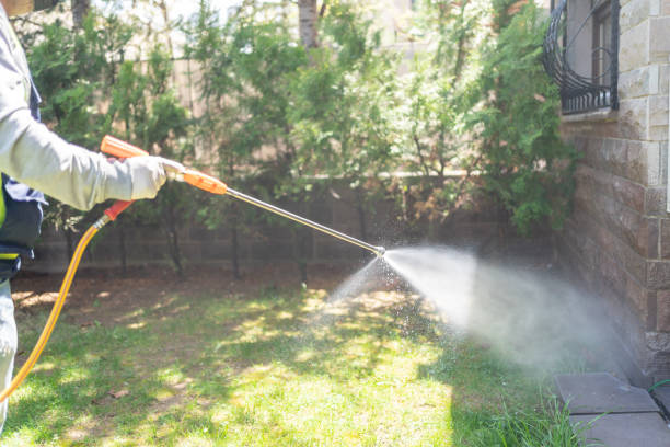 Wasp Removal Services in Rutherford, TN